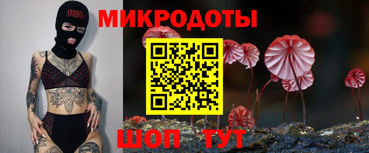 Кизилюрт  Галлюциногенные грибы MAGIC MUSHROOMS  Галлюциногенные грибы мухоморы  Вход с VPN 